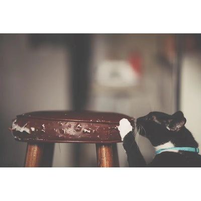 A black and white cat playfully clawing at the edge of a worn wooden stool.