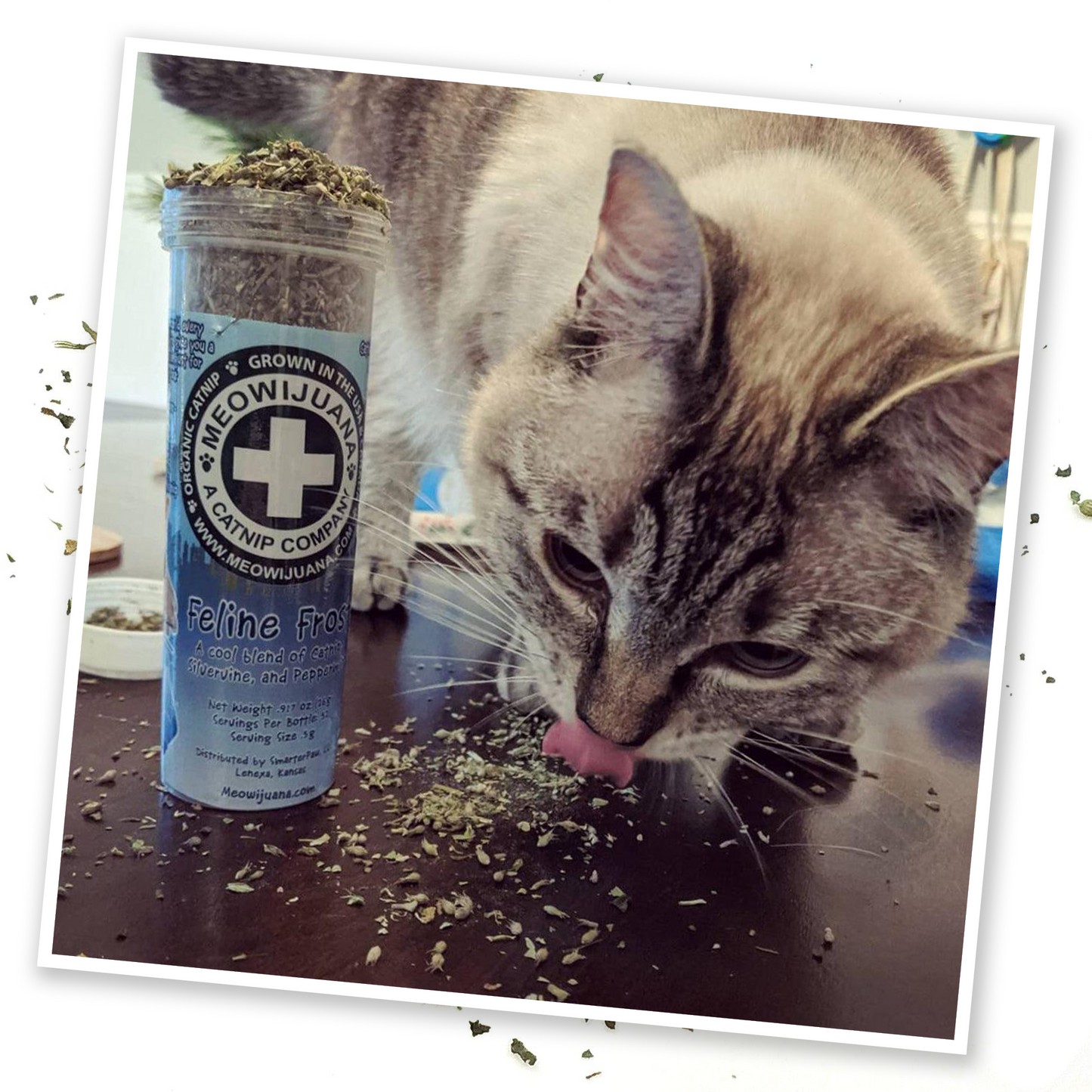 Feline Frost - Catnip, Silvervine & Peppermint Blend