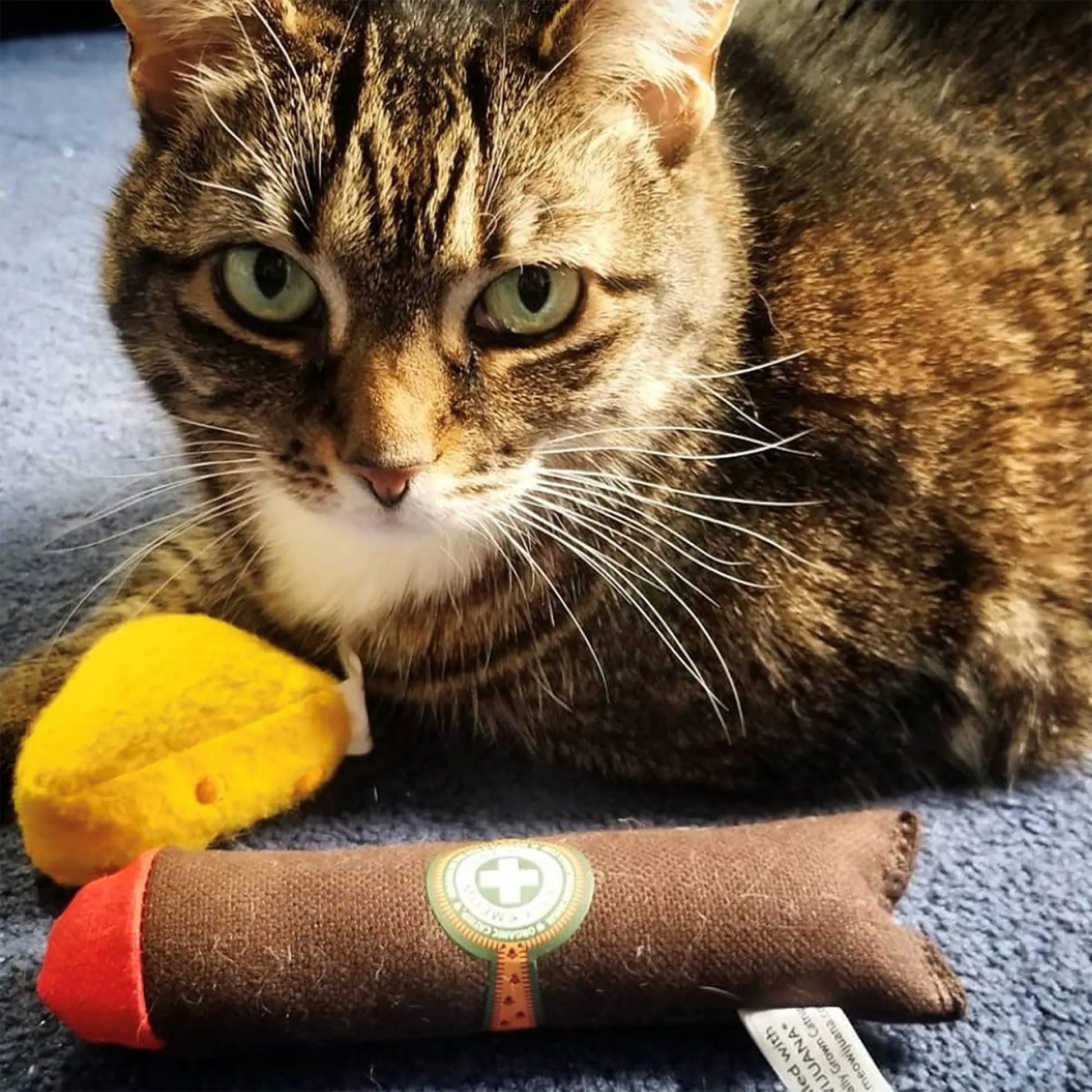 A tabby cat poses on the floor next to the Meowijuana Catnip Cigar and a yellow plush mouse toy.