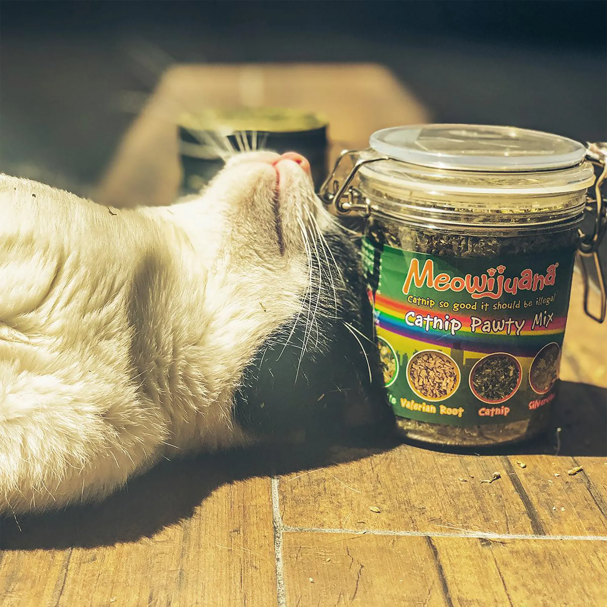 Cat lounging next to a Meowijuana Catnip Pawty Mix jar in the sunlight.