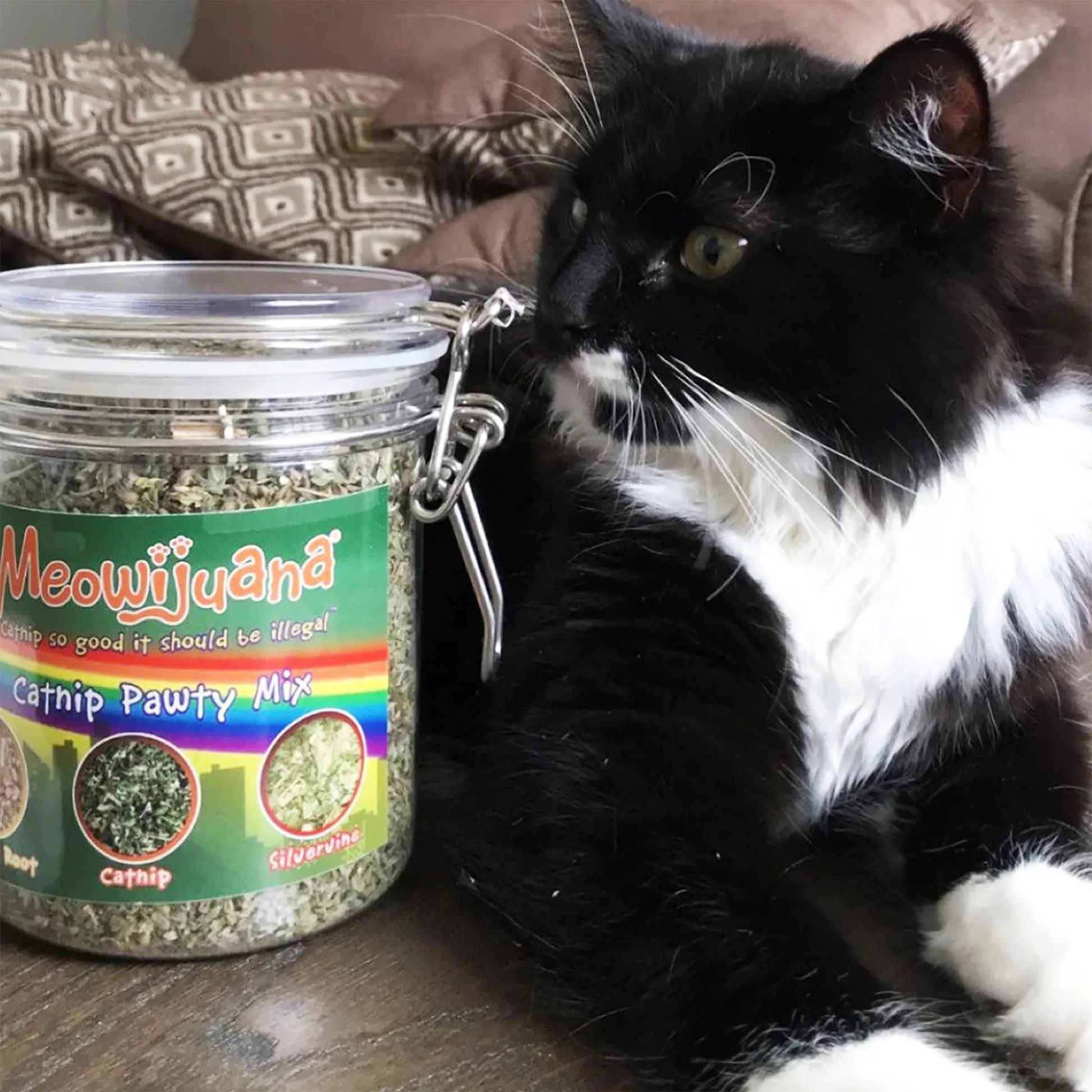 Black and white cat sitting next to Meowijuana Catnip Pawty Mix.