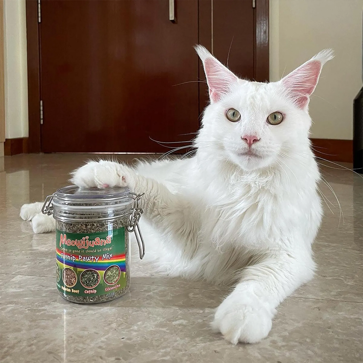 Large white cat with a paw on Meowijuana Catnip Pawty Mix jar.