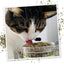 Cat licking from an open jar of Catnip Pawty Mix, enjoying the blend's aroma.