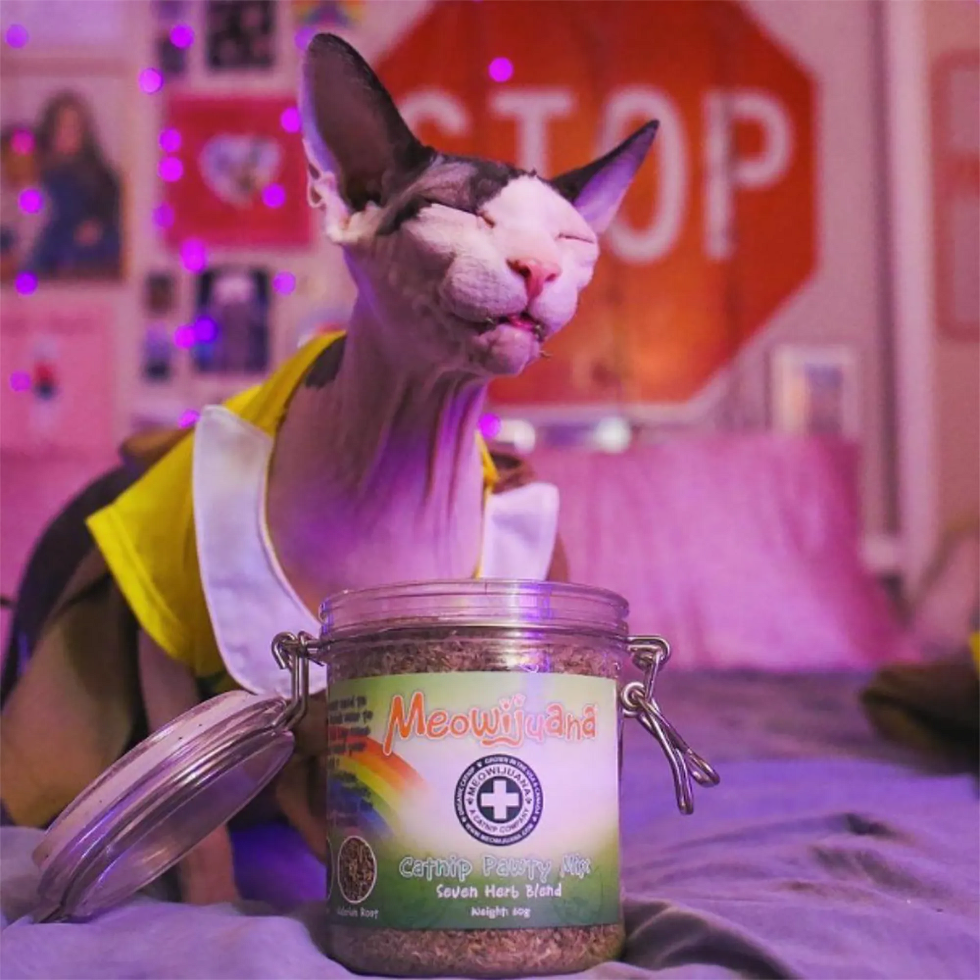 Sphynx cat with eyes closed, savoring the scent of Meowijuana Catnip Pawty Mix on the bed.