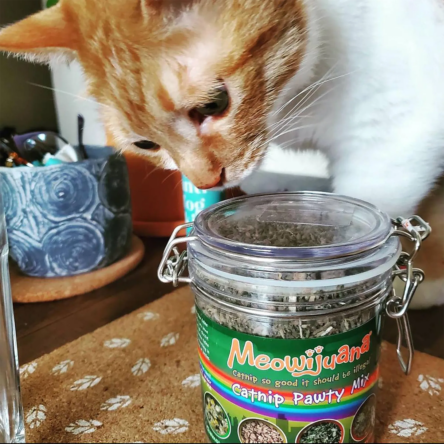 Cat sniffing a closed jar of Catnip Pawty Mix, showing curiosity about the product.