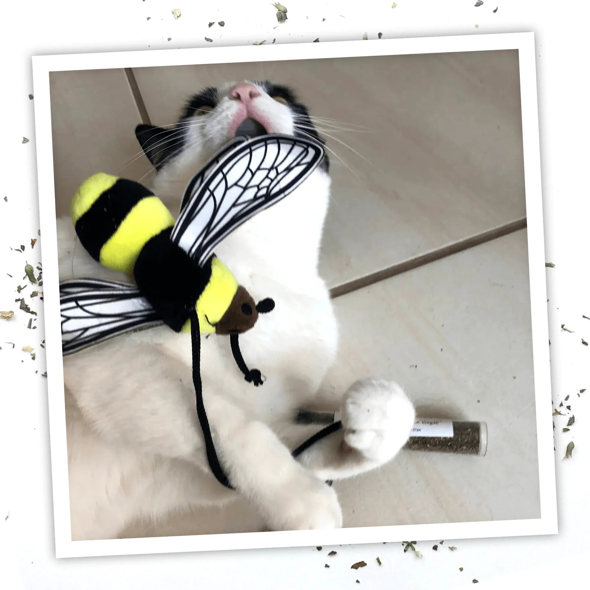 A white and black cat plays with the Meowijuana bee toy while lying on a tiled floor.