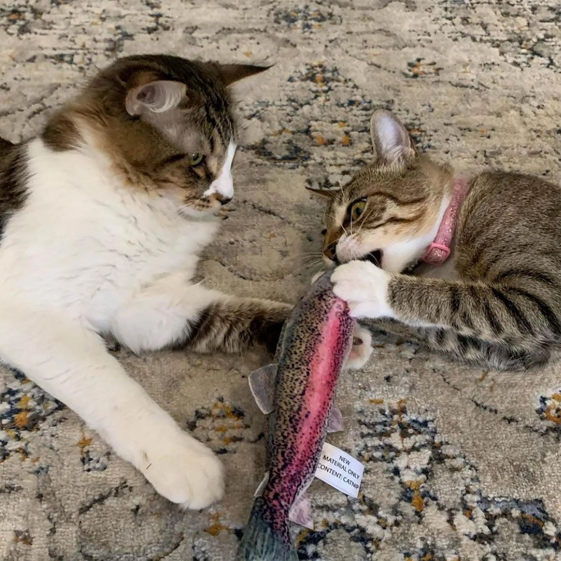 Two cats on a rug; one plays with the Meowijuana rainbow trout toy while the other looks on.