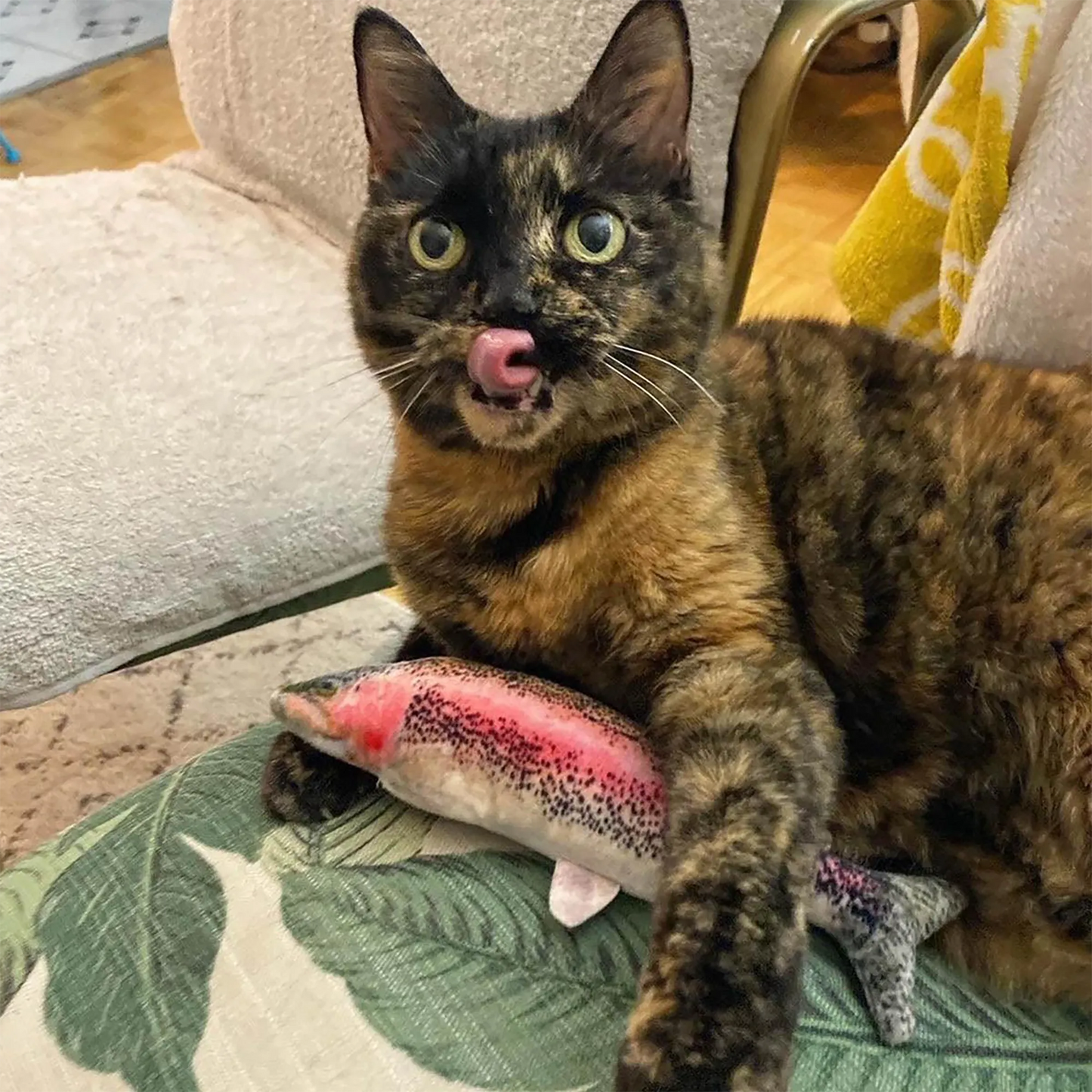 A tortoiseshell cat lounges on a chair, licking its lips while holding the Meowijuana rainbow trout toy.