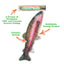 The Meowijuana rainbow trout toy with labeled features: refillable pocket, crinkle sound, and catnip vial.