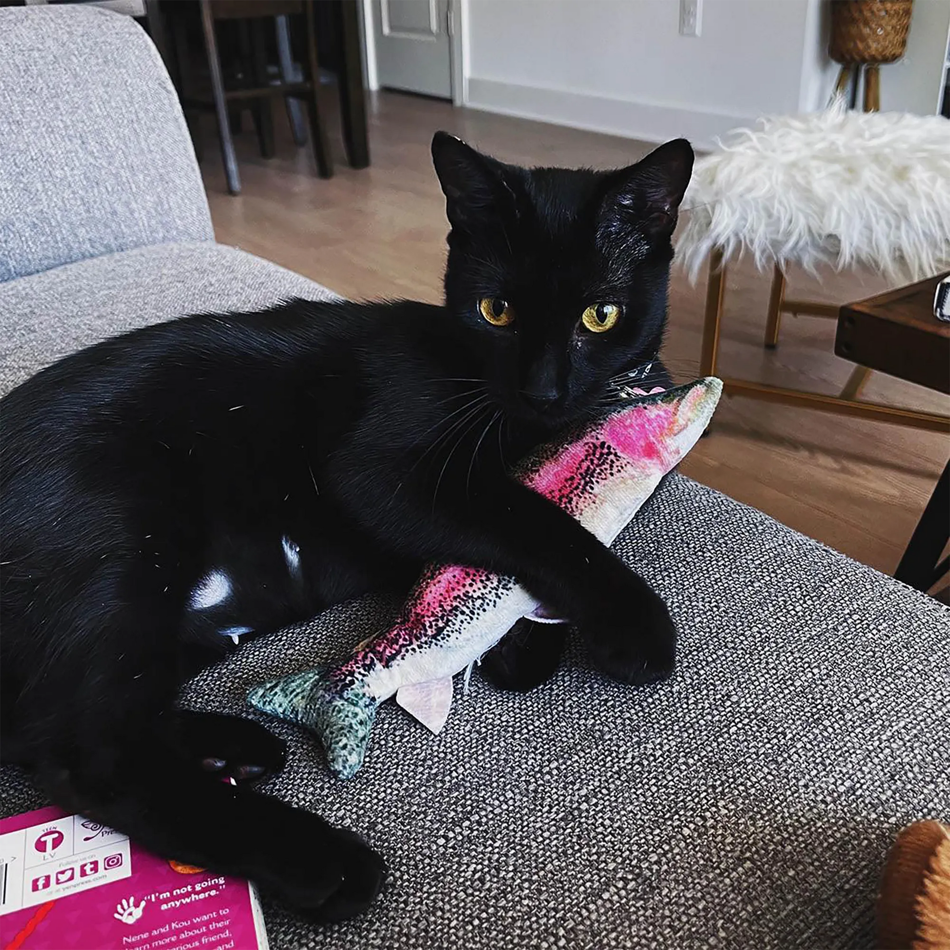 A black cat relaxes on a couch, holding the Meowijuana rainbow trout toy with a focused expression.