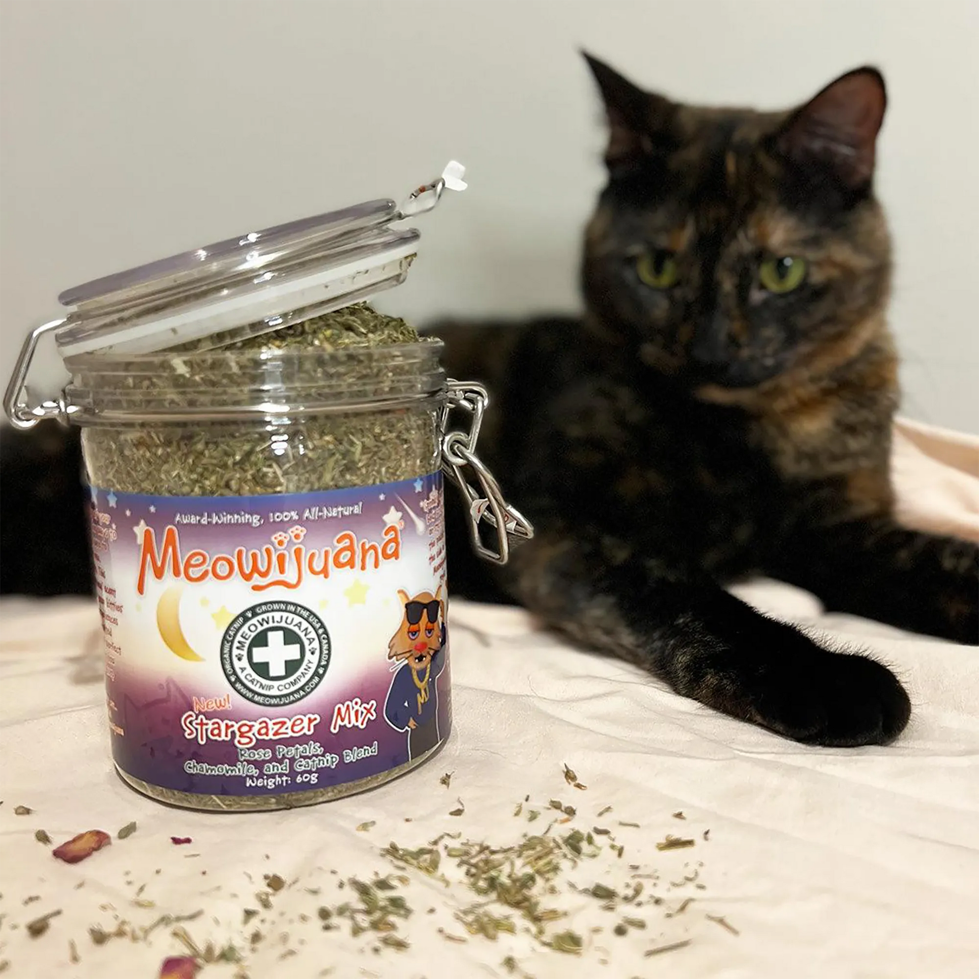 Tortoiseshell cat lounging next to an open Meowijuana Stargazer Mix jar, with scattered herbs on a soft surface.