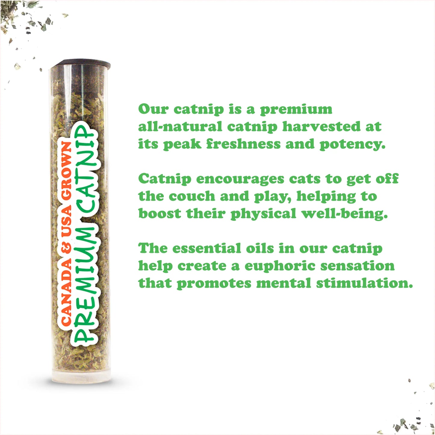 Close-up of a clear tube of premium North American catnip with text describing its freshness, potency, and mental stimulation benefits.