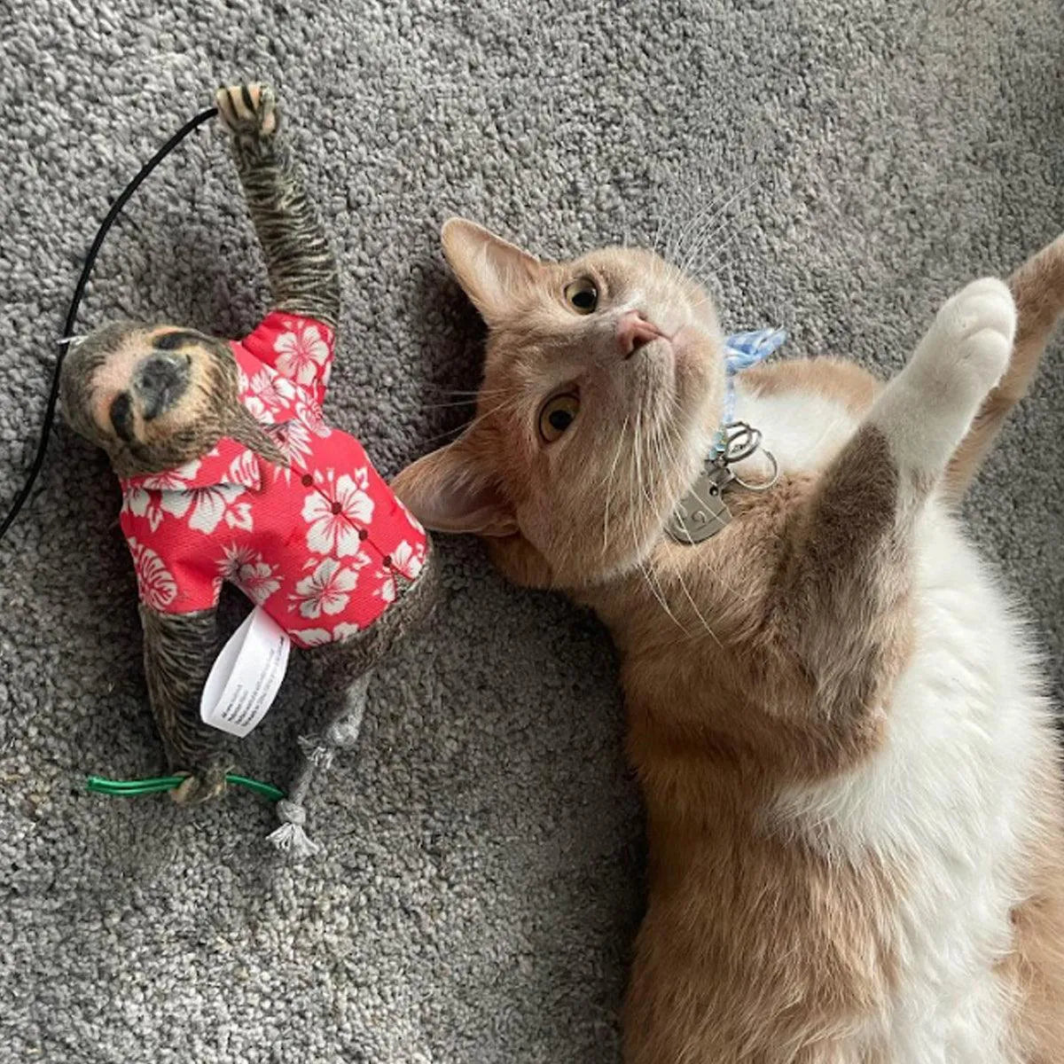 An orange cat lies on a grey carpet beside a sloth toy in a Hawaiian shirt, both relaxed and facing the camera with curious expressions.