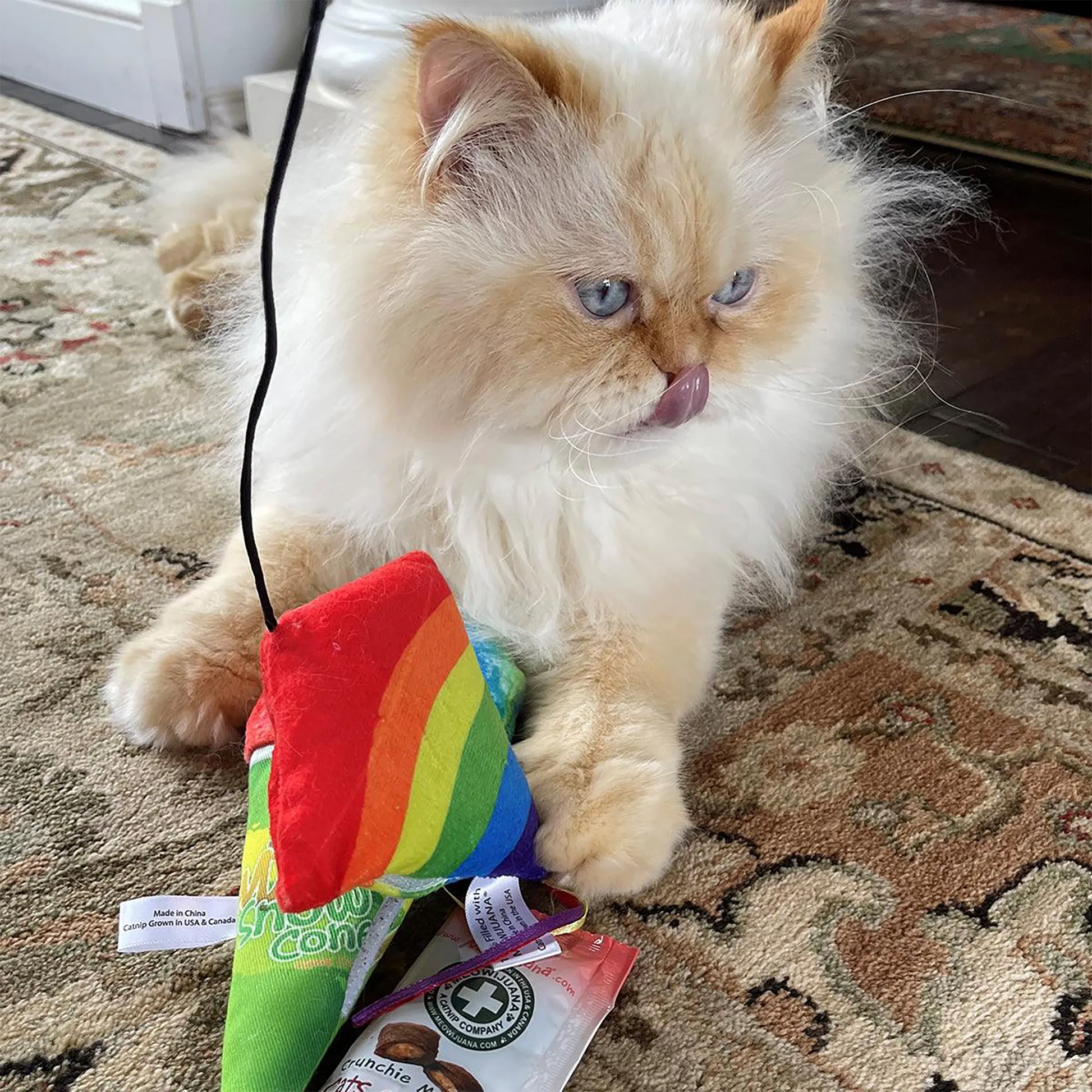 A fluffy white cat licking its lips while playing with the rainbow kite toy on a patterned carpet.