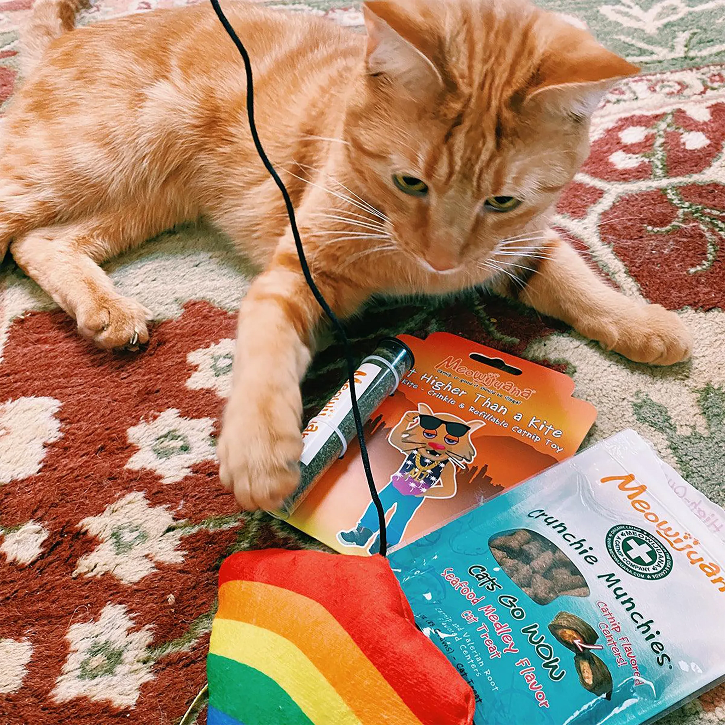 An orange tabby cat with the rainbow kite toy, Meowijuana® packaging, and cat treats on a patterned rug.