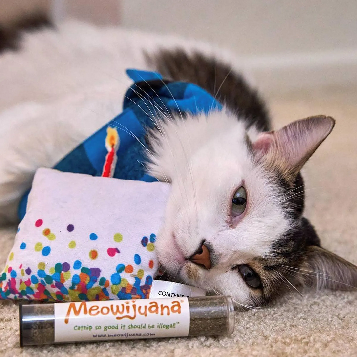 A cozy cat snuggled with the cupcake toy and a tube of catnip nearby, looking blissful and relaxed.