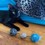 Black cat observing the connected rock toys on a wooden floor, with a cheetah-patterned blanket in the background.