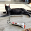 Gray cat resting on the floor with the rocket toy on a string wand nearby, highlighting the toy's size and design.