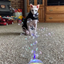 A Sphynx cat in a sweater observing bubbles in a cozy living room setting with toys in the background.