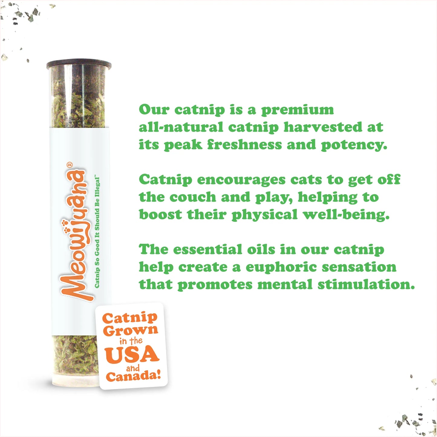 Close-up of Meowijuana catnip tube with bold branding and description of the catnip's premium quality and benefits.