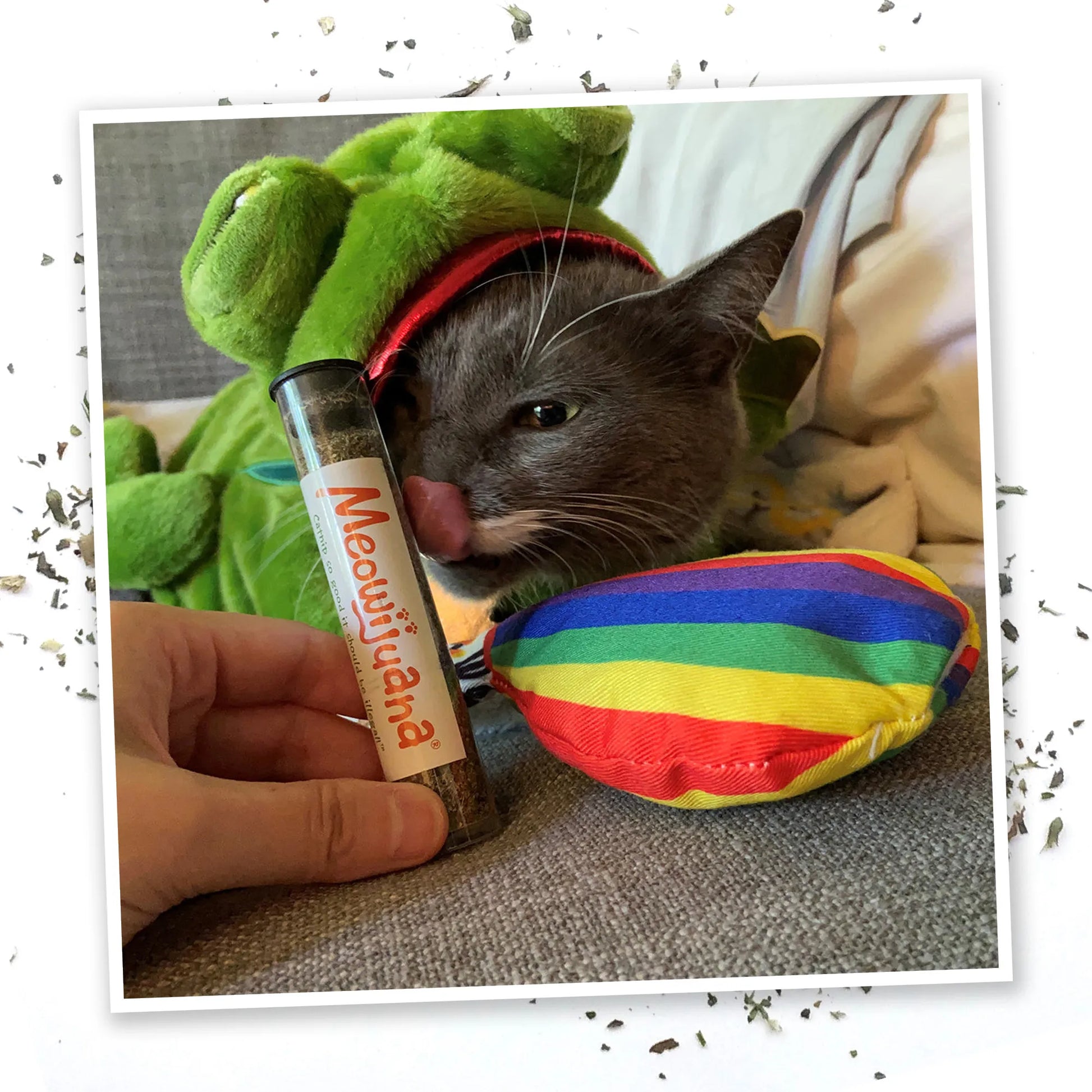 Cat playing with a Meowijuana rainbow hot air balloon toy, accompanied by a tube of premium catnip.