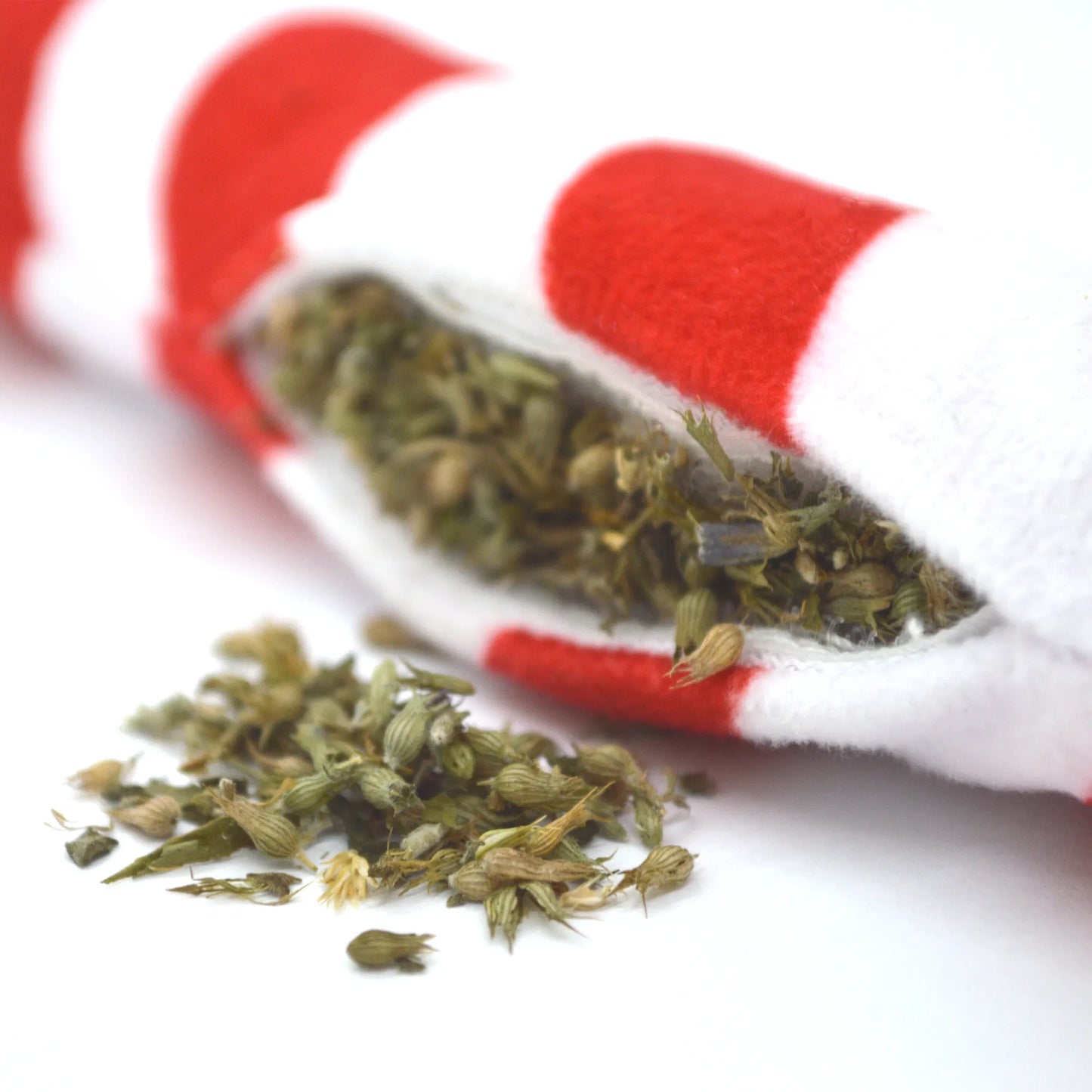 Open candy cane catnip toy showing its interior filled with fresh, aromatic catnip spilling out slightly.