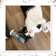 Black-and-white cat enjoying Feline Frost, lying beside the container on a wooden floor with an expression of feline bliss.