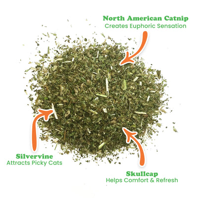 Close-up of Skull Cap blend showcasing its ingredients like North American catnip and silvervine.