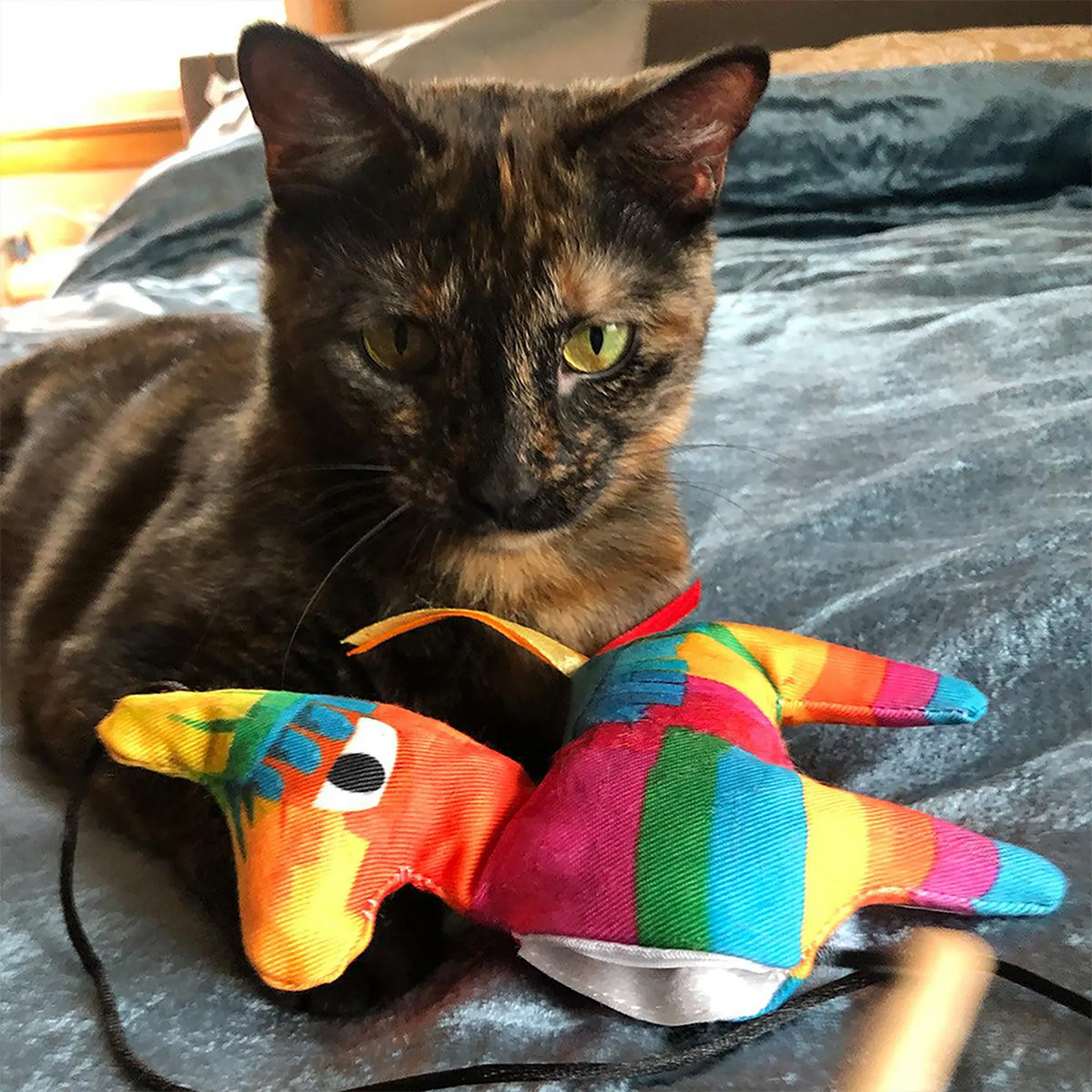 A tortoiseshell cat resting with two llama toys, giving a calm and curious expression.