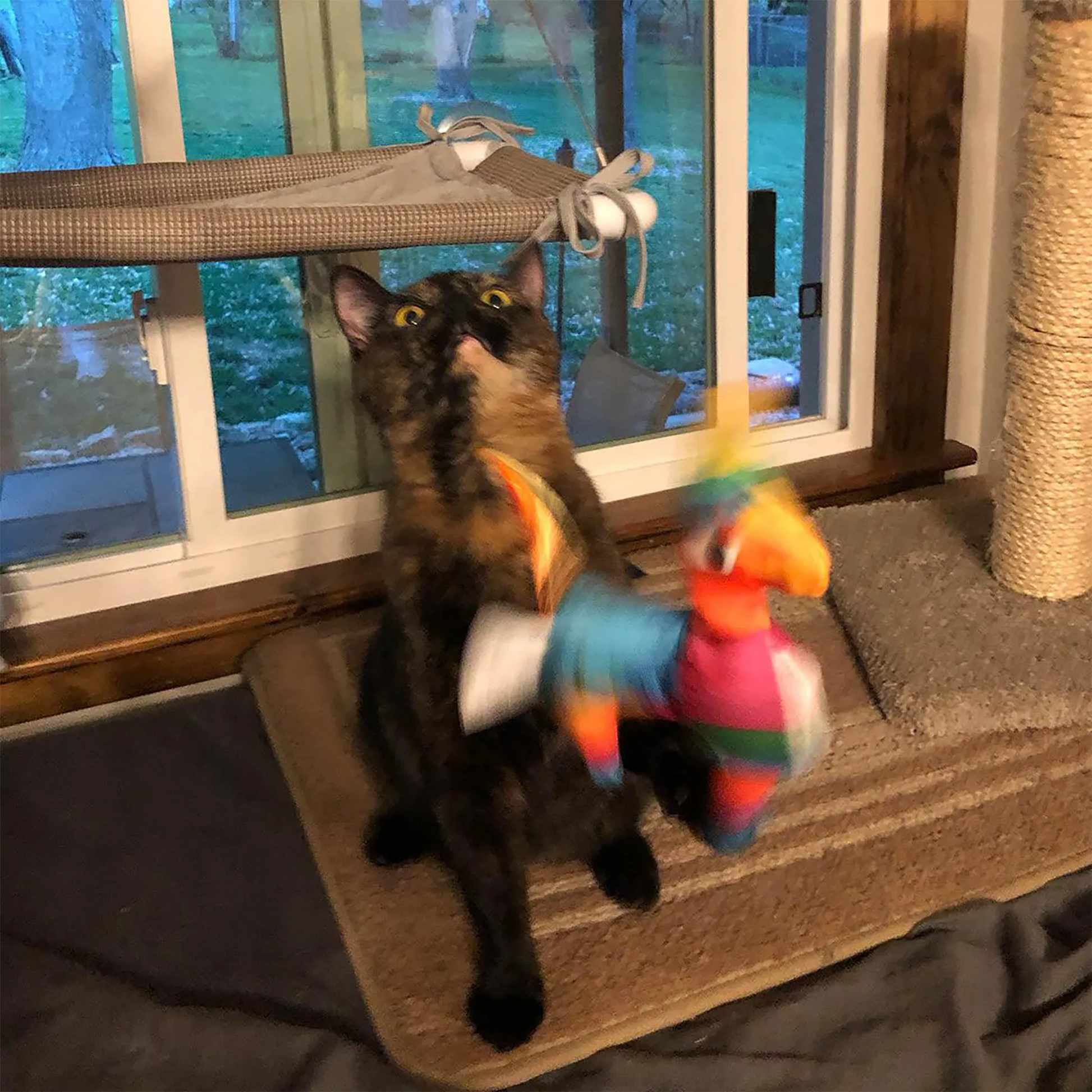 A cat leaping to catch the dangling llama toy on a wand, mid-action in a cozy indoor setting.