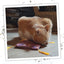 A ginger cat sniffing the purple and gold carpet toy on a wooden floor, with a wicker basket in the background.