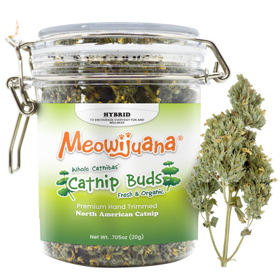 Jar of Organic Catnibas® Catnip Buds