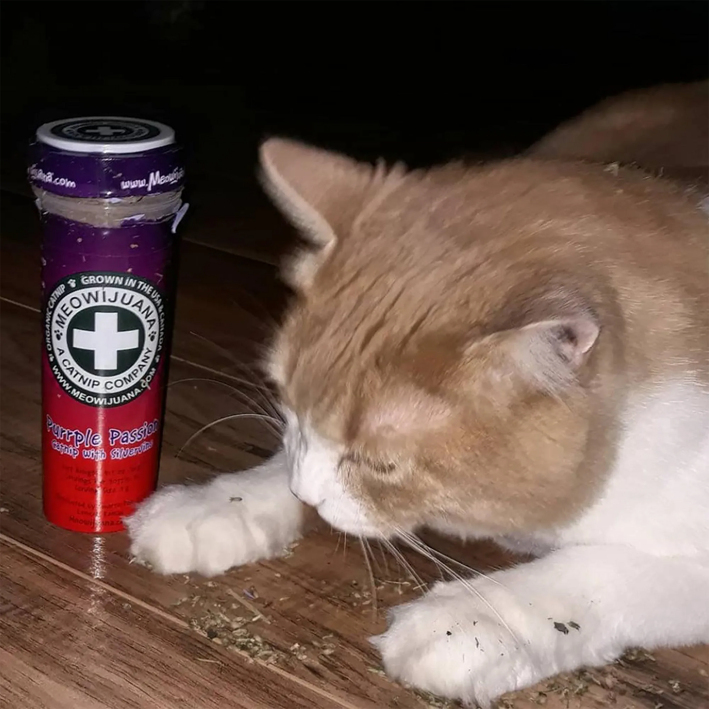 Orange-and-white cat lying next to Purrple Passion catnip container on a wooden floor.