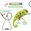 Jump 'n' Jamb Chameleon Refillable Interactive Cat Toy