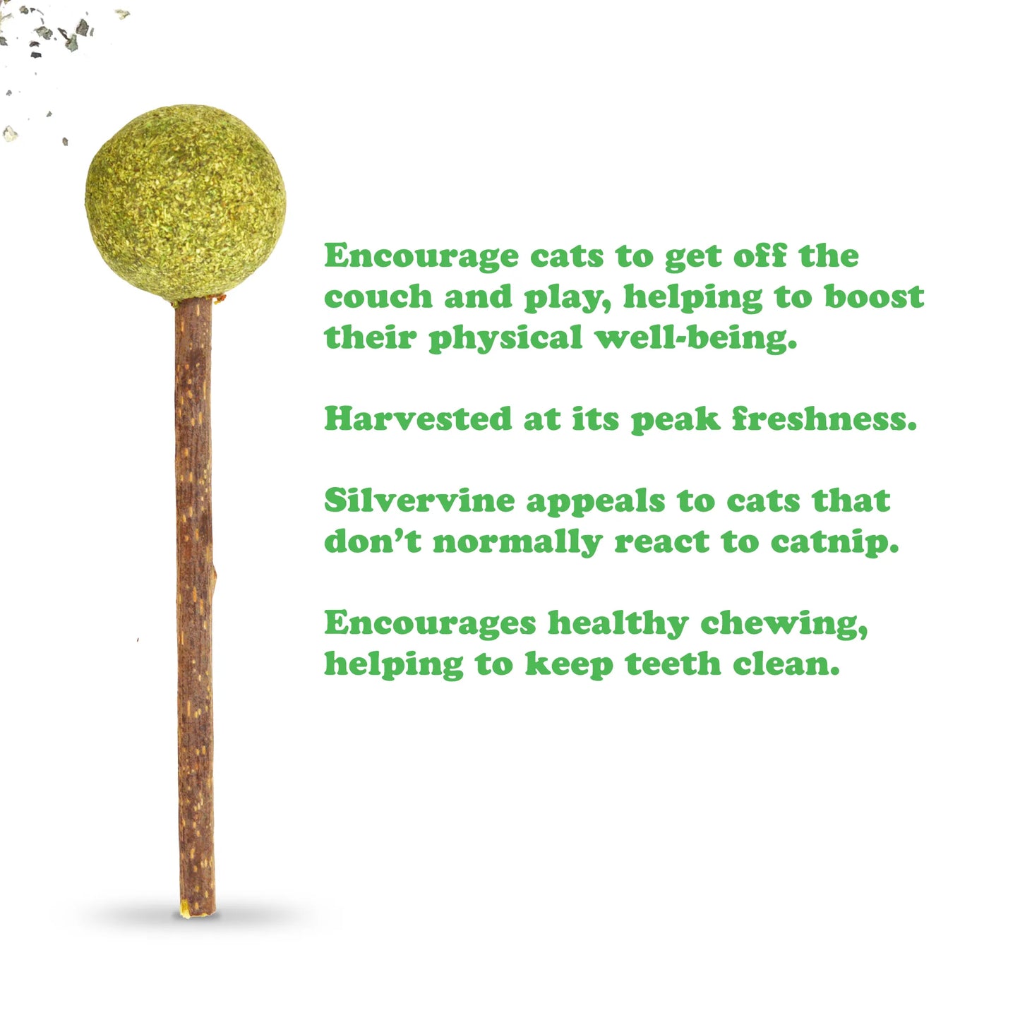 Close-up of a single Meowijuana Lolly with text about silvervine’s benefits for cats’ play, well-being, and teeth health.