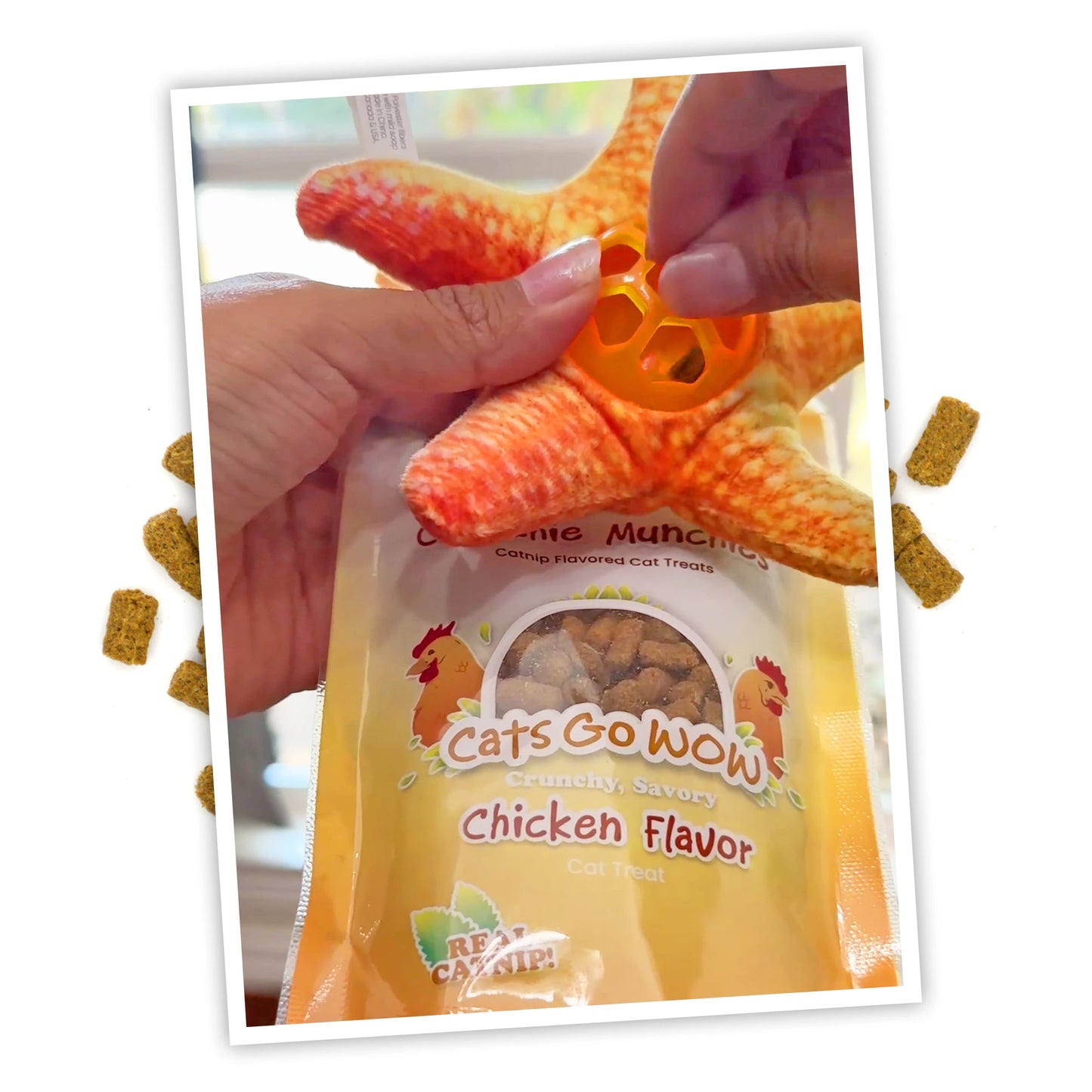 Hand filling a star-shaped toy with Meowijuana Crunchie Munchies chicken flavor treats, ready for fun playtime with the cat.