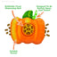 Close-up of the pumpkin treat dispensing toy showing its refillable ball, crinkle sound, and treat dispensing features.