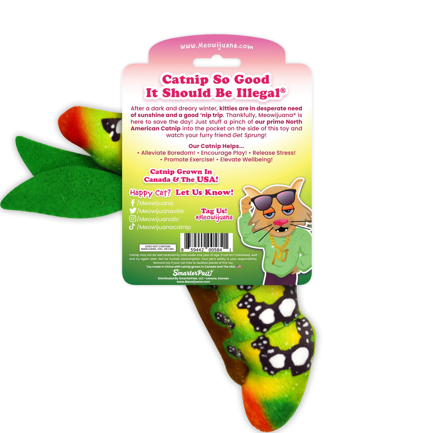 The back of the green and orange caterpillar toy packaging with details about its catnip, and instructions for use.