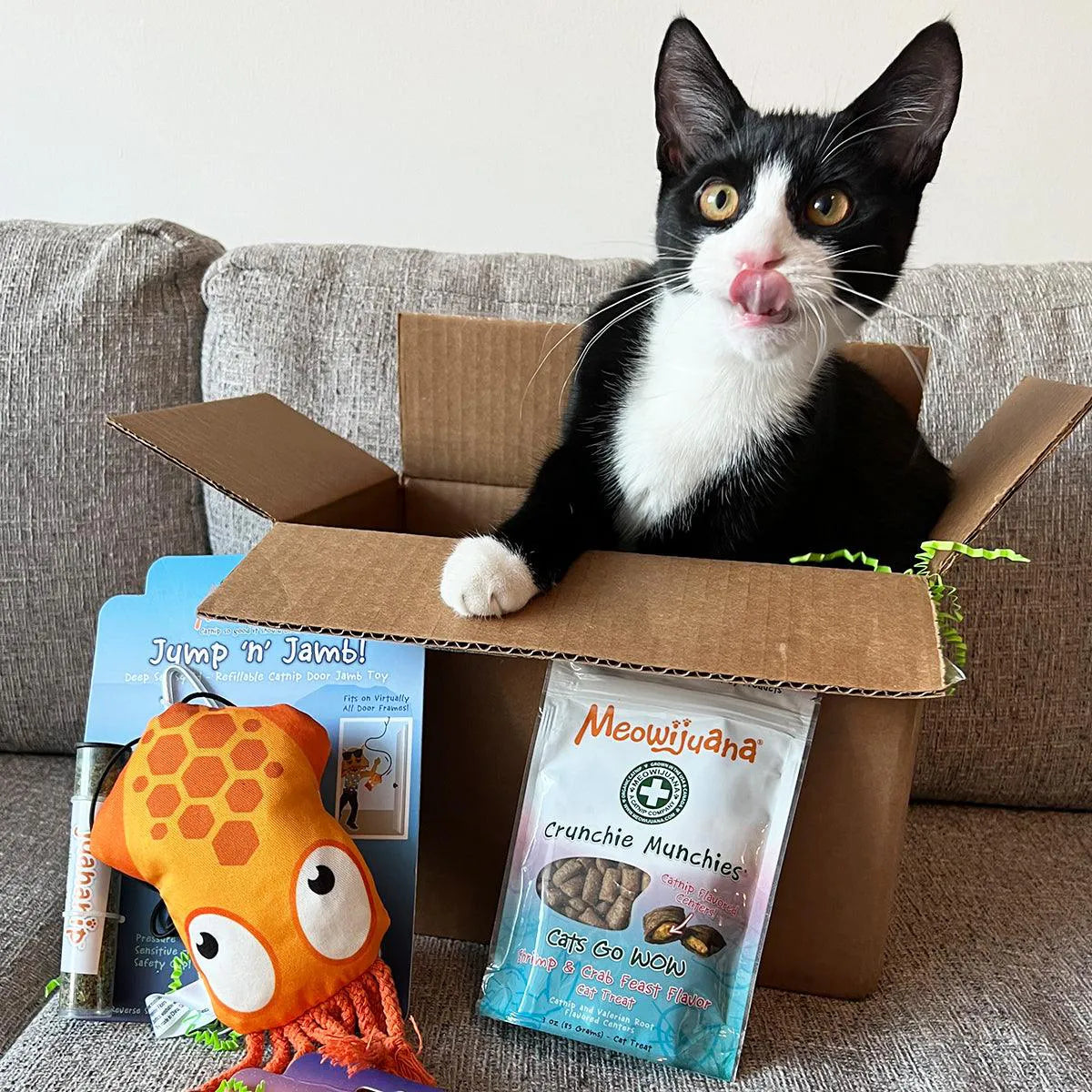 A black and white cat sits in a cardboard box, licking its lips, surrounded by Meowijuana products, including a catnip toy and Crunchie Munchies treats.