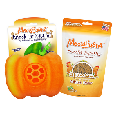 Pumpkin Treat Dispensing Toy Bundle