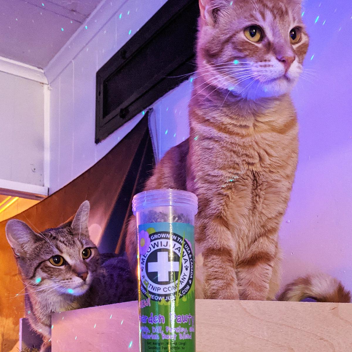 Whisker city hot sale organic catnip