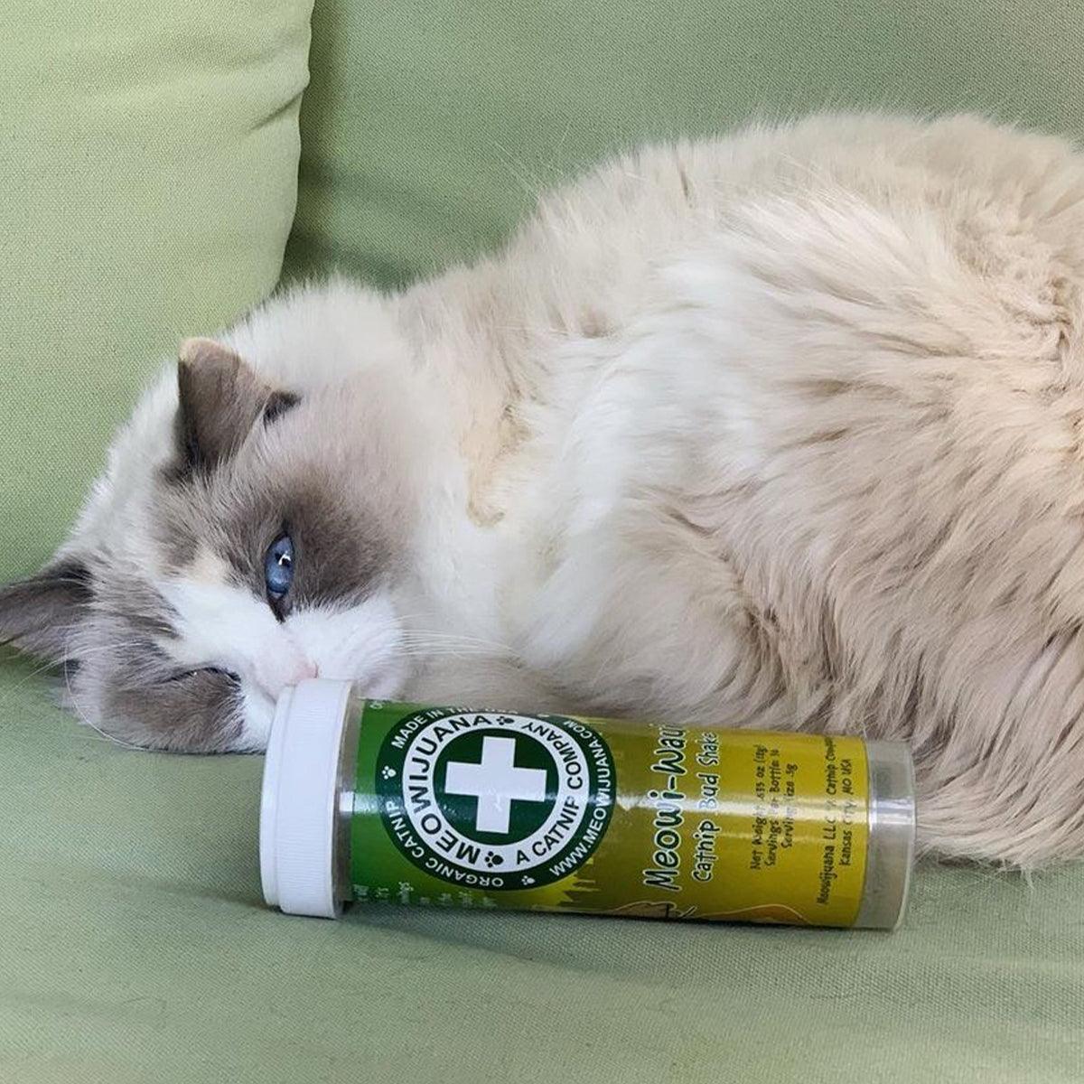 Meowijuana Premium Catnip Spray (1 oz) - Pet Wish Pros