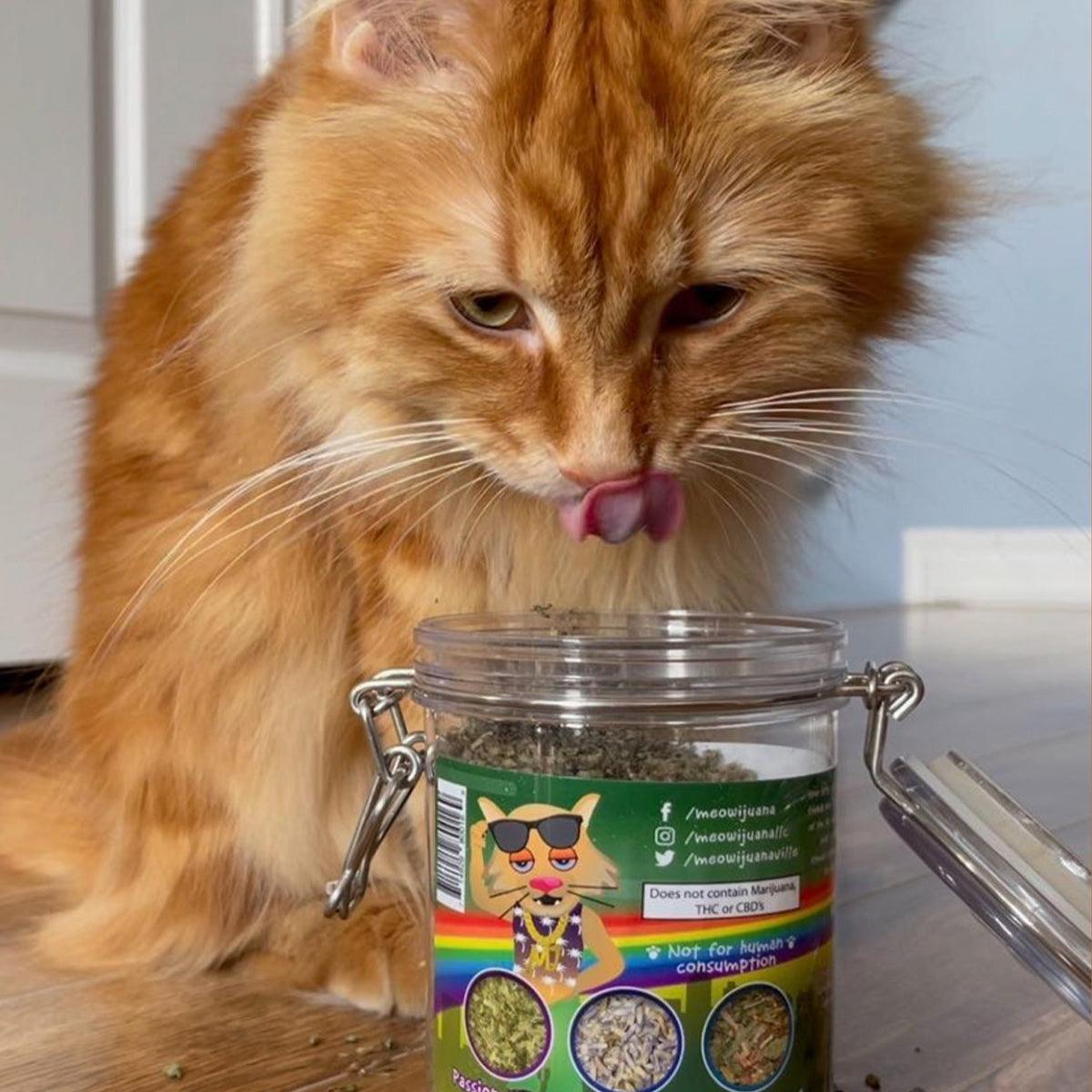 Meowijuana Jar of Catnip Pawty Mix by SmarterPaw Meowijuana