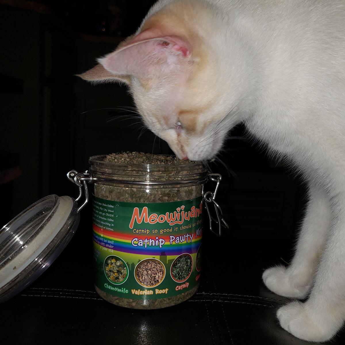 Meowijuana Jar of Catnip Pawty Mix by SmarterPaw Meowijuana