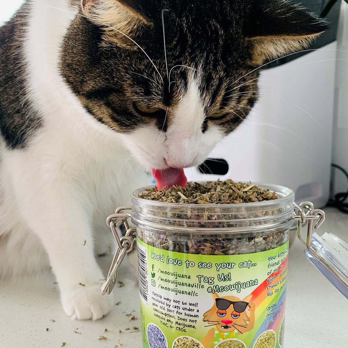 Meowijuana Jar of Catnip Pawty Mix by SmarterPaw Meowijuana