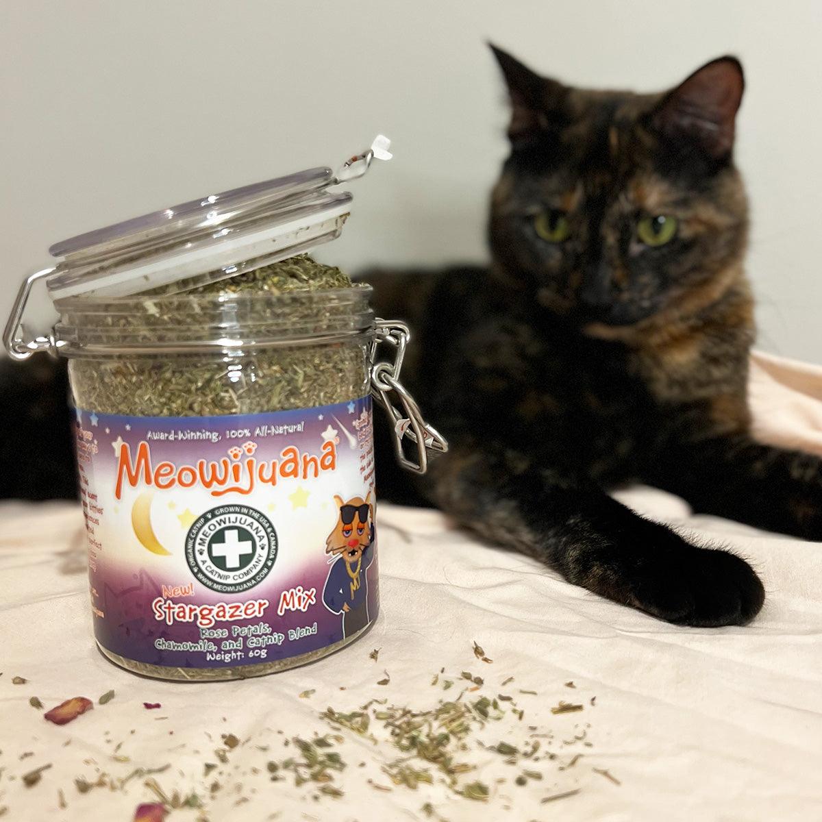 Meowijuana Jar of Stargazer Mix Catnip Rose Petals