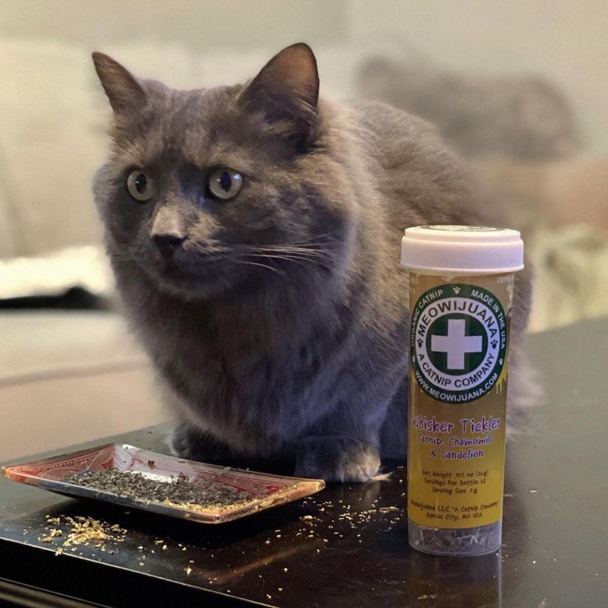 Whisker city hot sale organic catnip